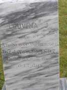 rootsweb.ancestry.com Lettisia