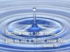 iluminalma.com.br Levitico