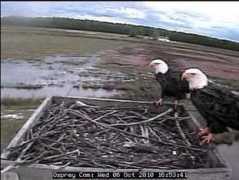 africam.com Lhes