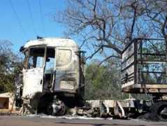 entornointeligente.com Liberan