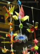 viaterra.net Libertat