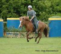 flyinghorse.nl Liduin
