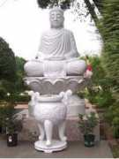 Lienhoa