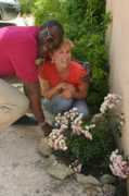 judithbakermontano.com Lievers