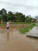 Liew