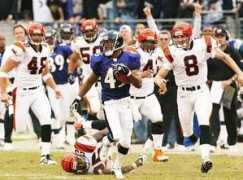 bengals.enquirer.com Ligarius