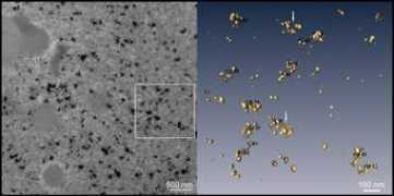 intechopen.com Ligasova