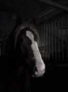 kikaakone.blog.cz Ligasova