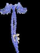 camelot.bioc.cam.ac.uk Ligiv