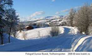 Lillemoen