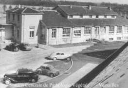 Limasset