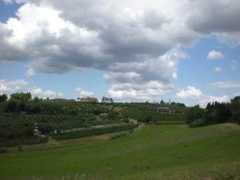 panoramio.com Linari