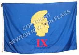newtonnewtonflags.com Lindum