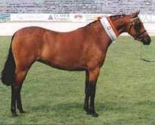 pickmerestud.com Lisamarie