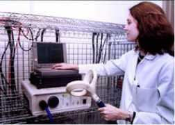 columbia.edu Lisanby