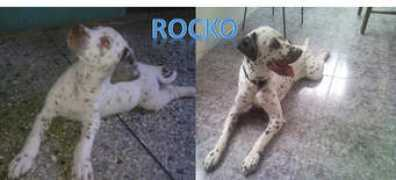 noticias24.com Lisbett