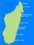 mobot.org Littoral