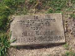 freepages.genealogy.rootsweb.ancestry.com Litvine