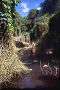 Loita