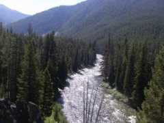 flyfishingwis.com Loking