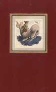 digital.library.upenn.edu Longfoot