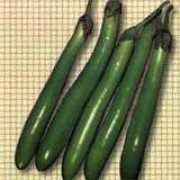 seedsofindia.com Longreen