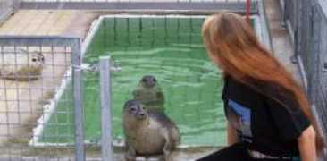 almaloorbach.nl Loorbach