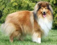 Lormois