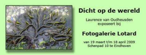 Lotard