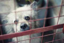 originideas.com Lovemarie