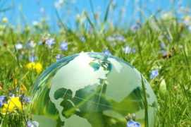 clovetere.com Lovetere