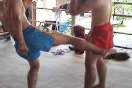 Lowkick