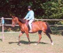 lydielemmens.free.fr Lozelle