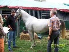 lydielemmens.free.fr Lozelle