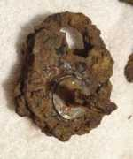 collectorsweekly.com Lqa