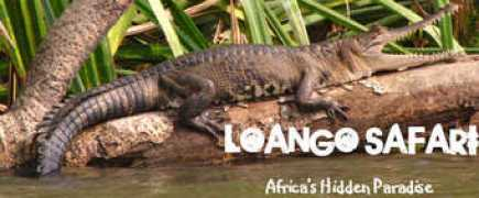 loango-safari.com Luango