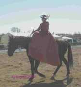 amazone2000.free.fr Luccisano