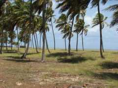 panoramio.com Lucena