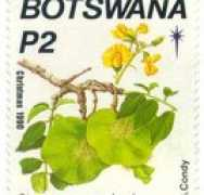 lvgira.narod.ru Luceus