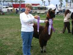 llamasofsocal.org Lucianni