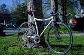 velospace.org Luciolla