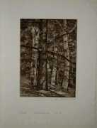 allinsongallery.com Lucioni