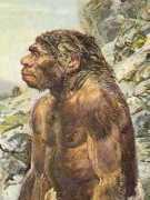 wind.kotlet.net Ludyna