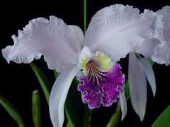 home.n08.itscom.net Luedde