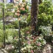 giardiniaperti.it Lugnani