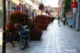 Lugoj