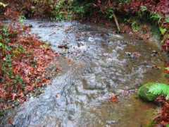 panoramio.com Lugrin