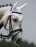 sunshinehorse.de Luici