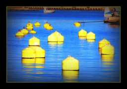 trekearth.com Luighi