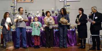 perservomklippeneck.de Luisian